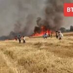 चंदौली : जलखोर गांव में भीषण आग, 50 बीघा गेहूं की फसल जलकर राख ।