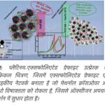 TECH : इस्तेमाल हो चुकी बैटरियों से बना नई ऊर्जा का समाधान, वैज्ञानिकों की बड़ी खोज l