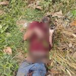 CHN : संदिग्ध परिस्थितियों में युवक की मौत, पुलिया के पास मिला शव l