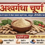 HEALTH : अश्वगंधा चूर्ण: तनाव से राहत से लेकर ताकत बढ़ाने तक, जानिए इसके चमत्कारी फायदे l