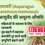 AYURVEDA : शतावरी (Asparagus racemosus): आयुर्वेद की अमूल्य औषधि, जानें सम्पूर्ण जानकारी…