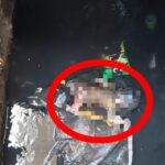 मुगलसराय गल्लामंडी स्थित नाले में नवजात शिशु के शव मिलने से सनसनी ।